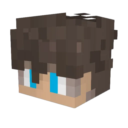 WintySou Minecraft avatar head, 3D render