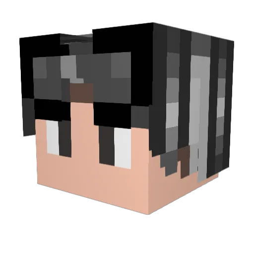 Winwinvanvan Minecraft avatar head, 3D render
