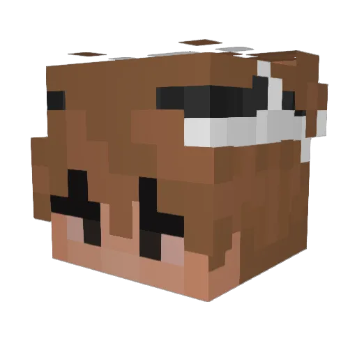 Winxstin Minecraft avatar head, 3D render