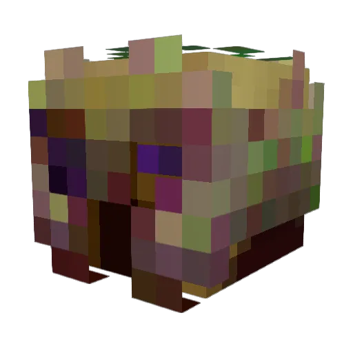 Winz2002 Minecraft avatar head, 3D render