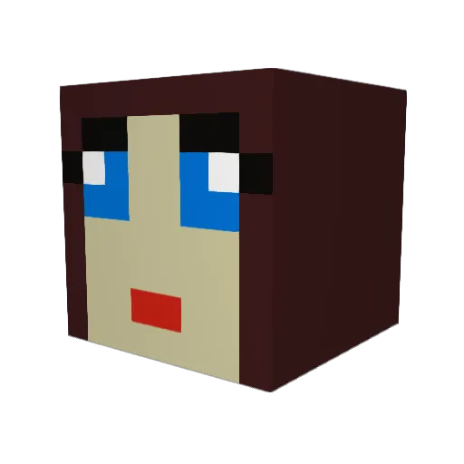 Winz66 Minecraft avatar head, 3D render
