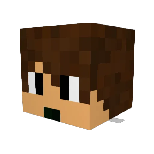 Winzi Minecraft avatar head, 3D render