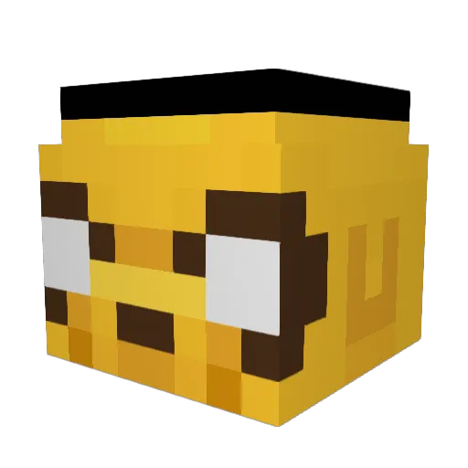 Wioll21 Minecraft avatar head, 3D render