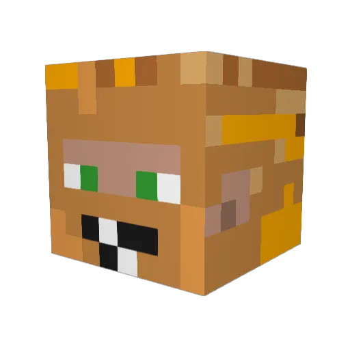 Wiozima Minecraft avatar head, 3D render
