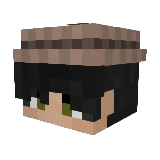 WipeCodet Minecraft avatar head, 3D render