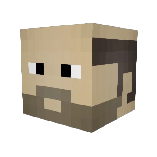 WiperBR_ Minecraft avatar head, 3D render
