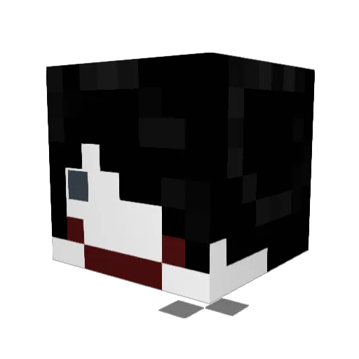 Wipoe Minecraft avatar head, 3D render