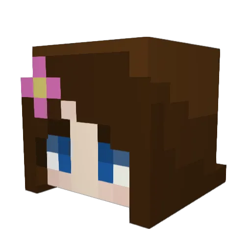 WireableCarrot Minecraft avatar head, 3D render
