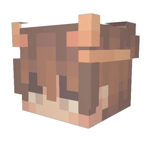WiredFaNta Minecraft avatar head, 3D render