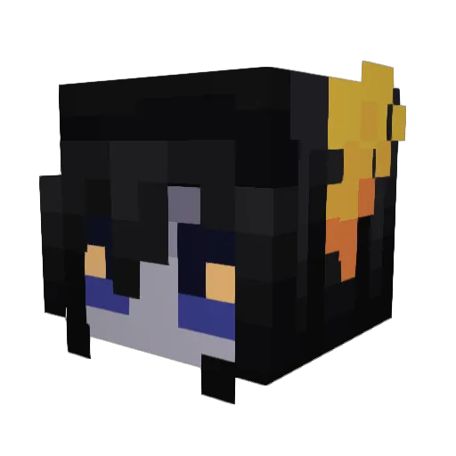 WiredFinn Minecraft avatar head, 3D render