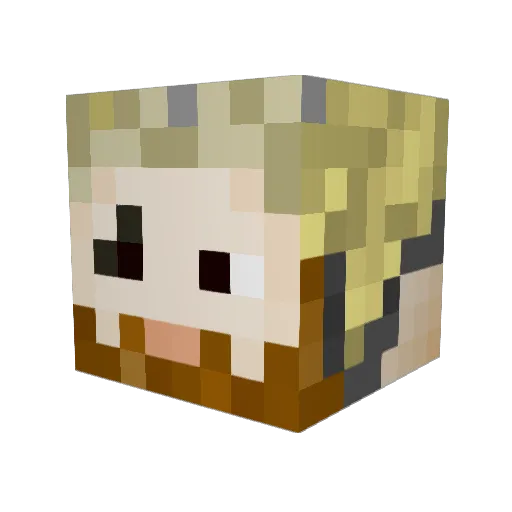 Wireflies Minecraft avatar head, 3D render
