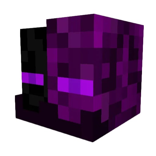 WirelessAnt5945 Minecraft avatar head, 3D render