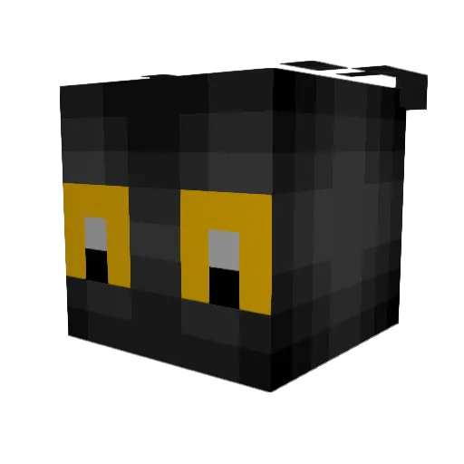 Wirer4z0r Minecraft avatar head, 3D render