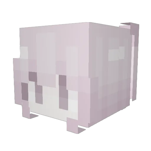 WiresArentFood Minecraft avatar head, 3D render