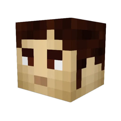 Wirezat Minecraft avatar head, 3D render