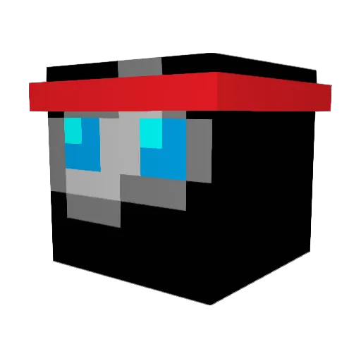 WiringNinja Minecraft avatar head, 3D render