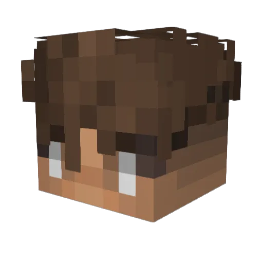Wirnzi Minecraft avatar head, 3D render