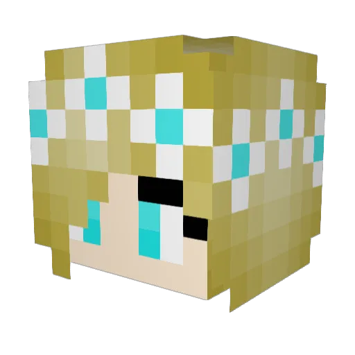 WisH_NoVa Minecraft avatar head, 3D render