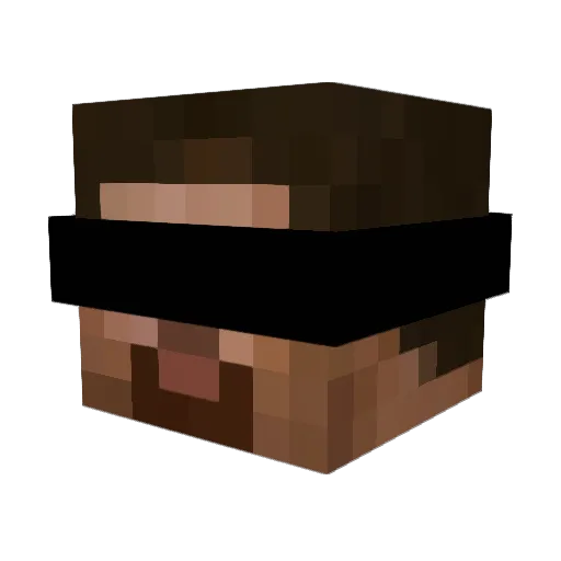 Wisdom8 Minecraft avatar head, 3D render
