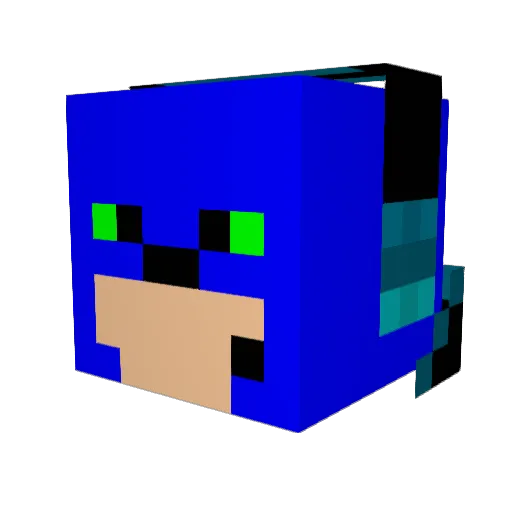 WisdomHat Minecraft avatar head, 3D render