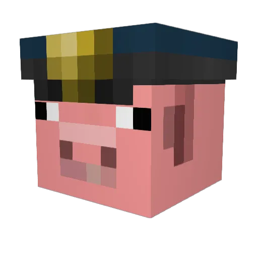 WisdomHelp Minecraft avatar head, 3D render