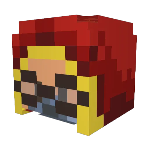 WisdomOwl Minecraft avatar head, 3D render