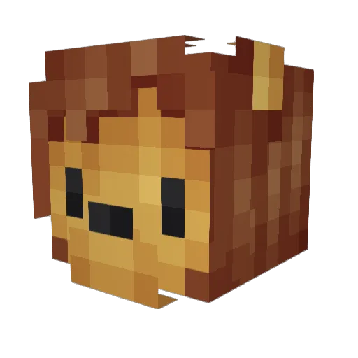 Wise0_0 Minecraft avatar head, 3D render