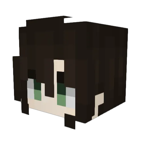 Wise8bitman Minecraft avatar head, 3D render