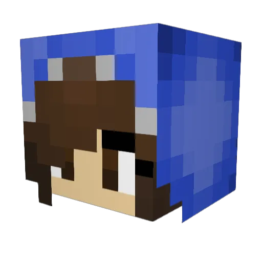 WiseBirdy93 Minecraft avatar head, 3D render