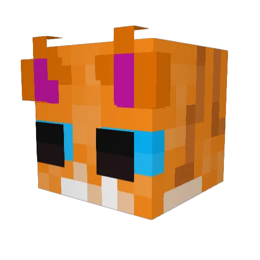 WiseDummy Minecraft avatar head, 3D render