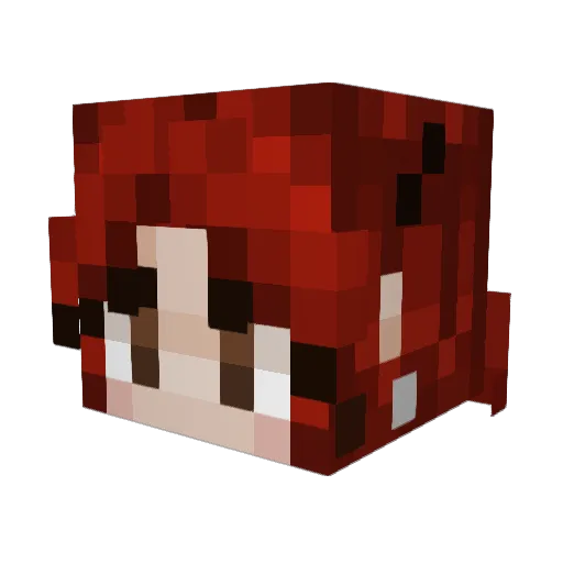 WiseGirl2005 Minecraft avatar head, 3D render