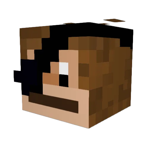 WiseMonky Minecraft avatar head, 3D render