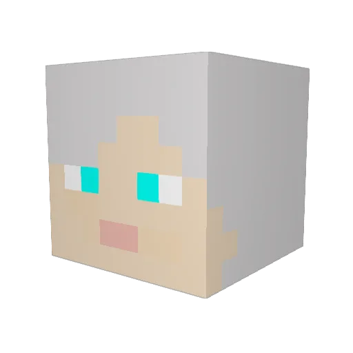 WiseOldGranny Minecraft avatar head, 3D render