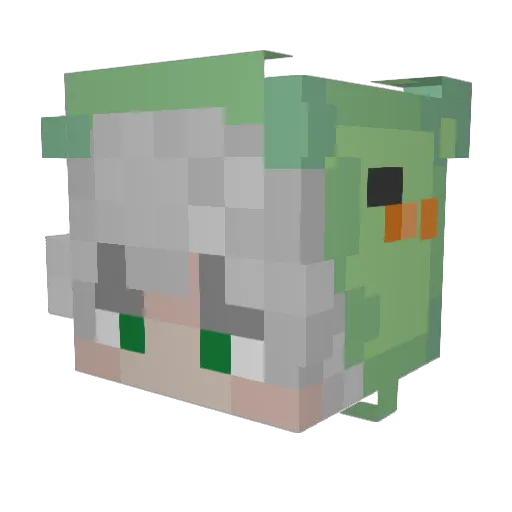 WiseOldTurtle Minecraft avatar head, 3D render