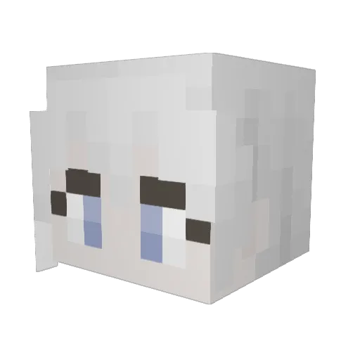 WiseOne142 Minecraft avatar head, 3D render