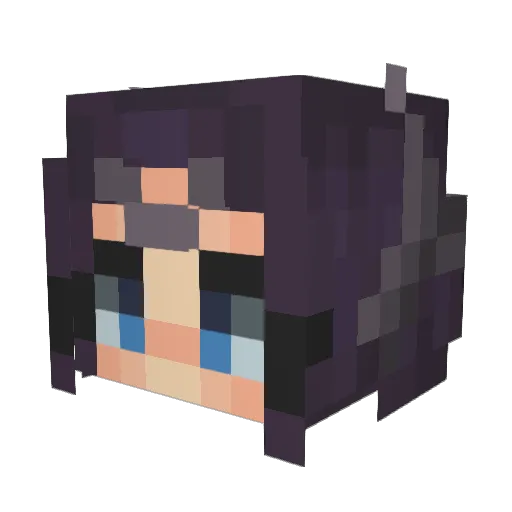 WiseTofuMan Minecraft avatar head, 3D render