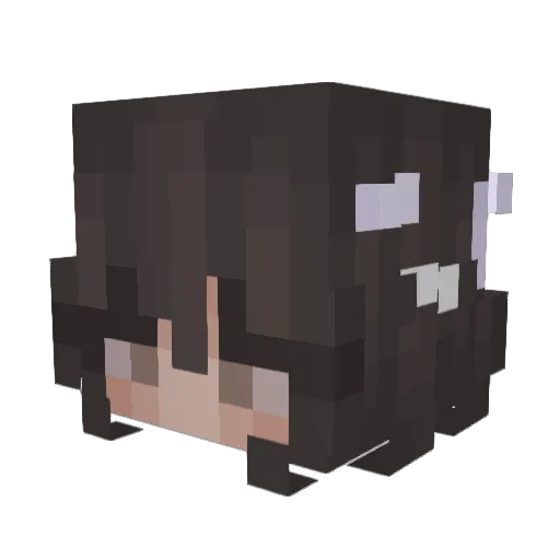 WiseTortoise919 Minecraft avatar head, 3D render