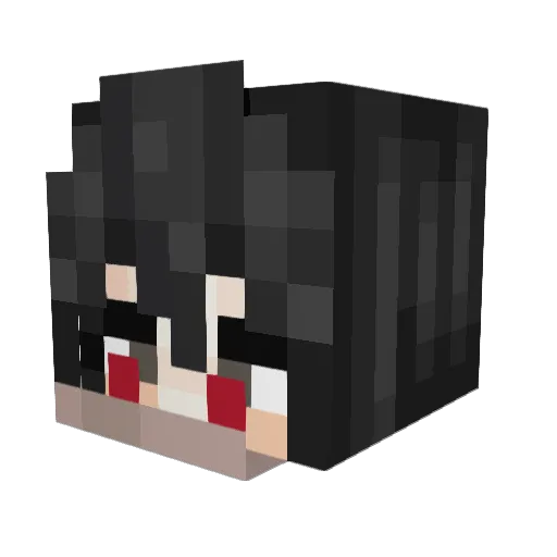 WiseTrashSam Minecraft avatar head, 3D render