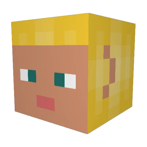 WiseWallaby Minecraft avatar head, 3D render