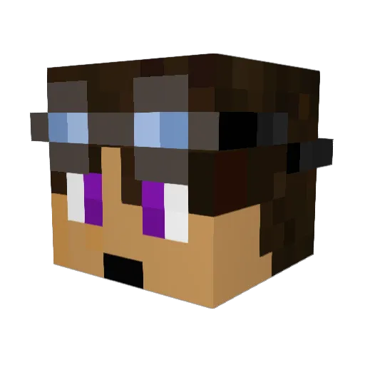WiseYoungOne Minecraft avatar head, 3D render