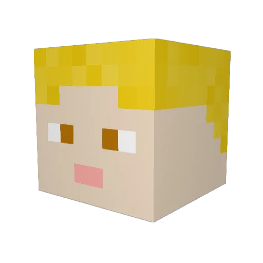 Wise_Games Minecraft avatar head, 3D render