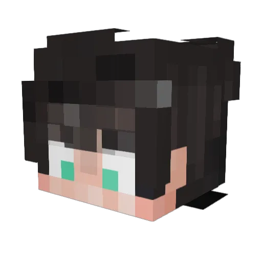 Wise_Time Minecraft avatar head, 3D render