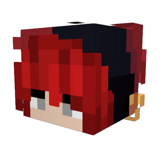 Wise_fight Minecraft avatar head, 3D render