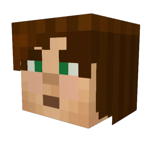 Wiseguy_J Minecraft avatar head, 3D render