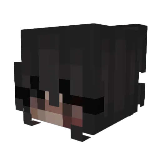 Wiseii Minecraft avatar head, 3D render