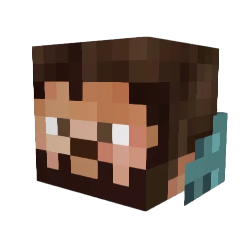Wiseman343 Minecraft avatar head, 3D render