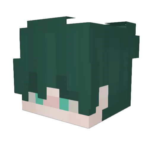 Wiseowl810 Minecraft avatar head, 3D render