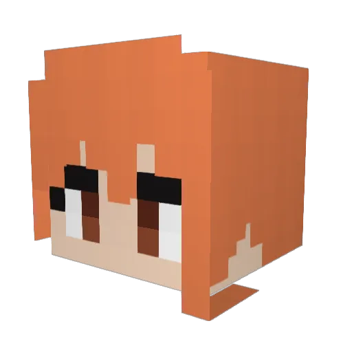 Wiser58 Minecraft avatar head, 3D render