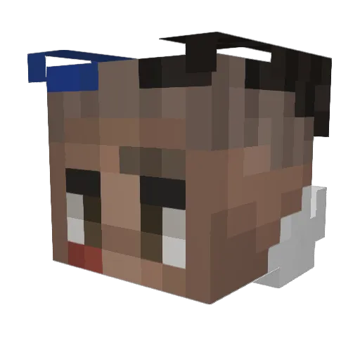 WiserF4LL Minecraft avatar head, 3D render