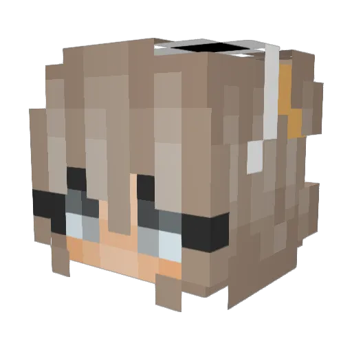 Wiserone23 Minecraft avatar head, 3D render